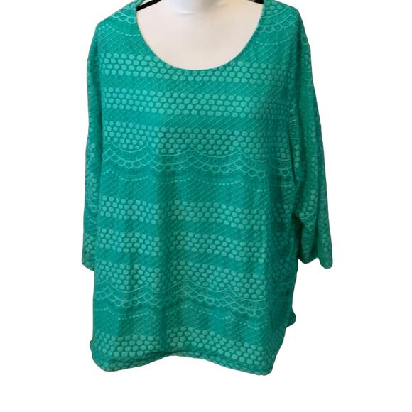 C. D. DANIELS EMBROIDERED PULL-OVER TOP, WOMENS, 3X, MINT GREEN, LINED, DRESSY - Picture 2 of 10